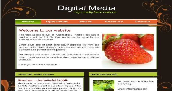 Flash Digital Media Company Web2.0 Template