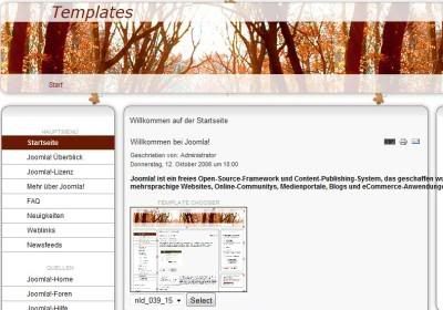 Free Joomla Gray forest Brown Web2.0 Theme Template