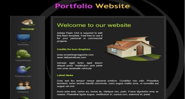 Company Portfolio Black Flash Website Template
