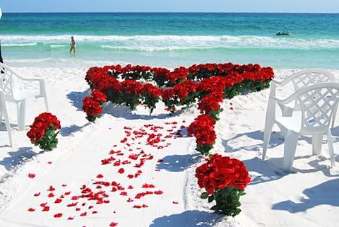 Beach Wedding Reception Ideas