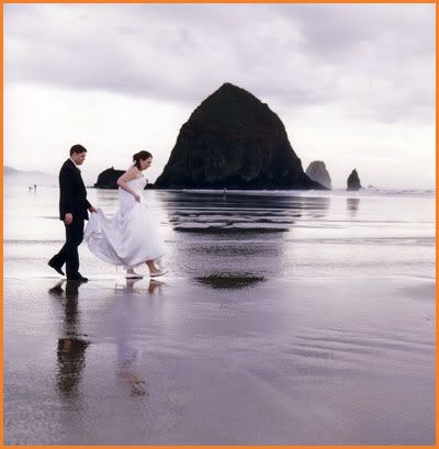 It is no wonder that beach wedding ideas have ranged from surreal to bizarre