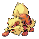 Arcanine Arcanine