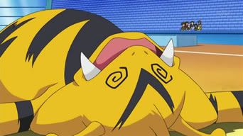 http://i692.photobucket.com/albums/vv284/cuteguardian/PoKeMoN/Paul/His%20Pokemon/Electabuzz/266.jpg