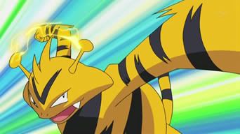 http://i692.photobucket.com/albums/vv284/cuteguardian/PoKeMoN/Paul/His%20Pokemon/Electabuzz/448.jpg