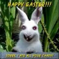 HAPPY EASTER Pictures, Images and Photos