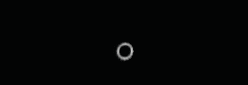 [image loading]