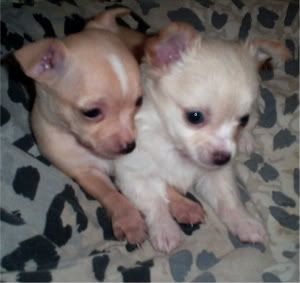 Want your link here, Contact me