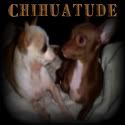 Chihuatude