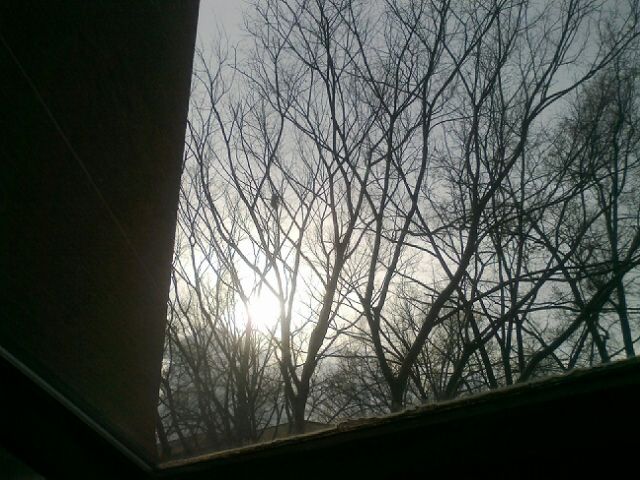  photo 03022012006.jpg