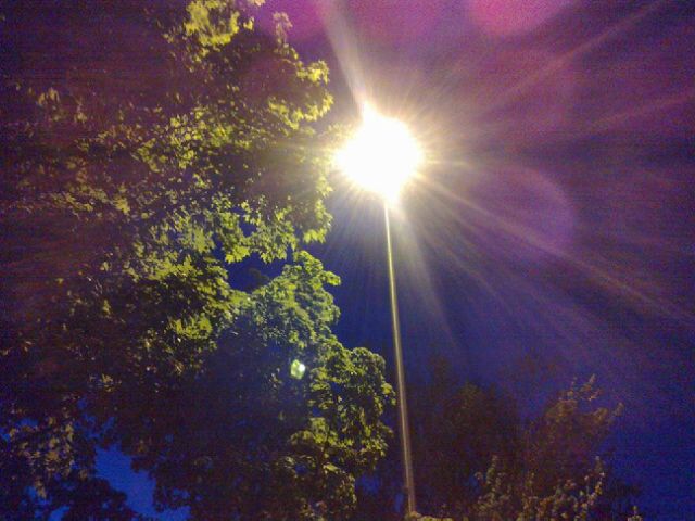  photo 04092012132.jpg