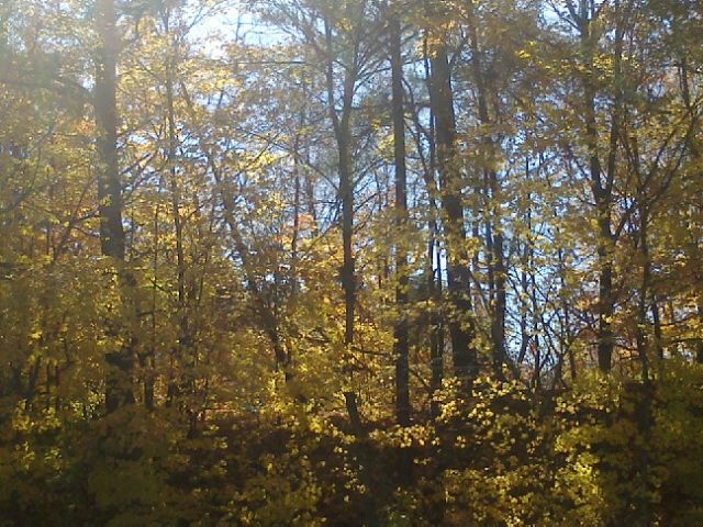  photo 11092012732.jpg