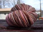  "Earthy Princess" hand-dyed yarn