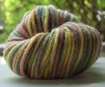  "Spring Garden" hand-dyed yarn