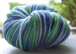  "Josh's Favorites" hand-dyed yarn