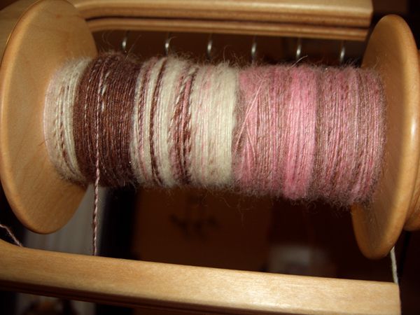 Pink Chocolate BFL Singles