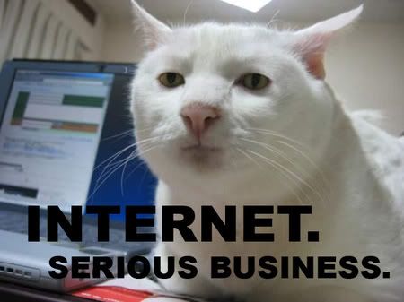 internet-serious-business-cat-thumb.jpg Serious Business picture by dwm82000