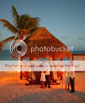 https://i692.photobucket.com/albums/vv284/BeachWeddingPlanner/beach-wedding-ideas-3.jpg