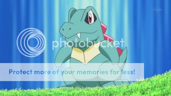 http://i692.photobucket.com/albums/vv284/cuteguardian/PoKeMoN/Khoury/His%20Pokemon/Totodile/374.jpg