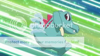 http://i692.photobucket.com/albums/vv284/cuteguardian/PoKeMoN/Khoury/His%20Pokemon/Totodile/376.jpg